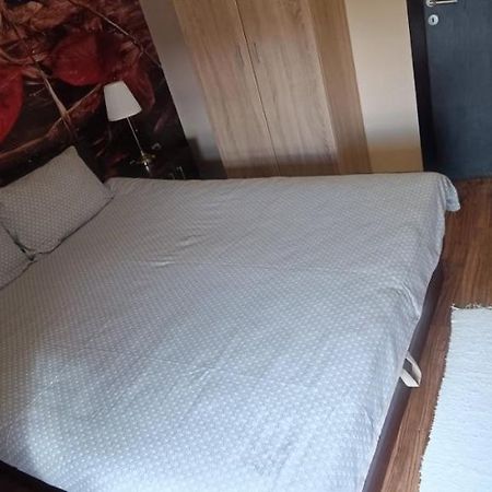 Apartment Vila Sandra 즐라티보 외부 사진